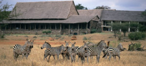 Kenya Safari Lodges