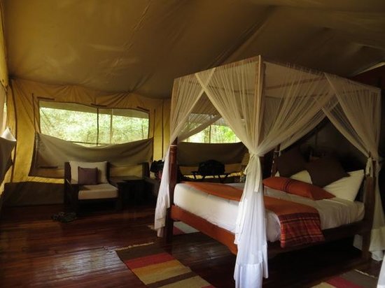 Kenya Safari Lodges